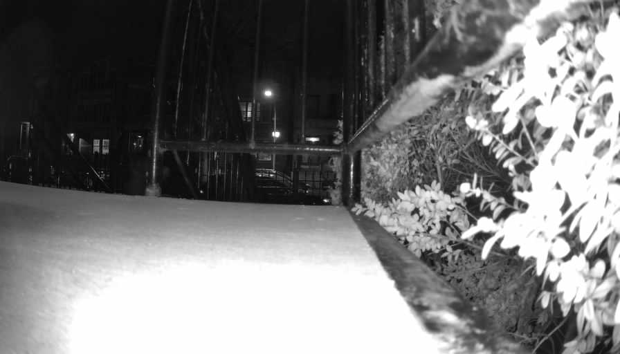 Reolink Camera Two_01_Reolink Home Hub One_20250207183004.jpg